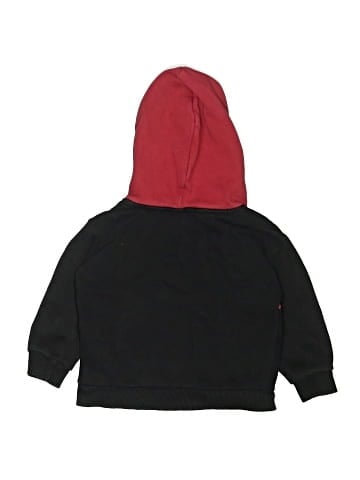 Champion Pullover Hoodie (view 2)