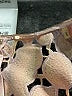 Elie Tahari 100% Polyester Metallic Silver Cocktail Dress Size 4 - photo 7