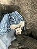 Aerie Blue Denim Shorts Size M - photo 3