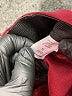 Maurices Solid Burgundy Active Pants Size XL - photo 9