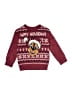 Nickelodeon Burgundy Pullover Sweater Size 4T - photo 1