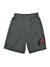 Air Jordan 100% Polyester Graphic Gray Athletic Shorts Size 10 - 12 - photo 1