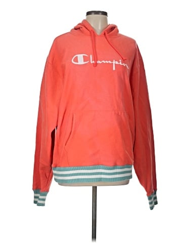 Champion Pullover Hoodie (view 1)