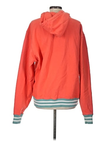 Champion Pullover Hoodie (view 2)