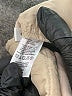 Ann Taylor Factory Tan Khakis Size 12 - photo 8