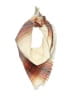 by Nasharr Ivory Scarf One size - photo 1