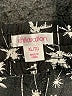 Xhilaration 100% Polyester Stars Black Shorts Size XL - photo 3