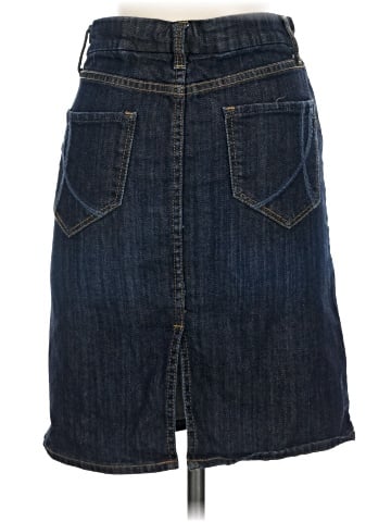 It Denim Skirt (view 2)
