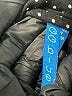 GG Blue Polka Dots Black Shorts Size 4 - photo 3