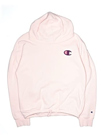 Champion Pullover Hoodie (view 1)