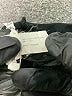 Club Monaco Solid Black Formal Skirt Size XS - photo 5