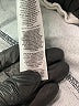 Rag & Bone 100% Cotton Blue Jeans Size 30 waist - photo 8