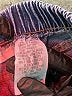 Soft Surroundings Blue Jeans Size M - photo 8