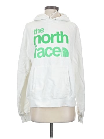 The North Face Pullover Hoodie (view 1)