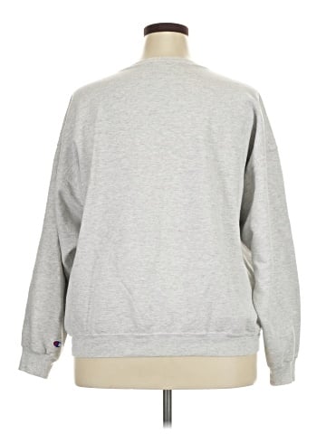 Champion Sweatshirt (view 2)