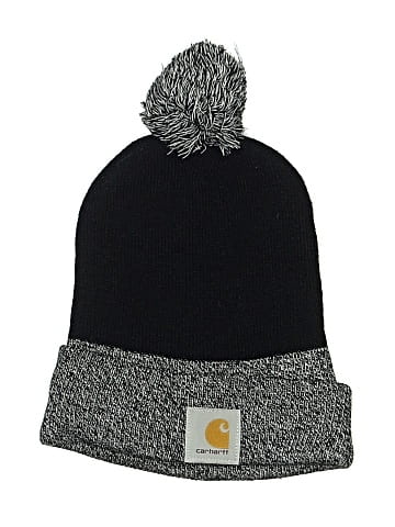 Carhartt Beanie (view 1)