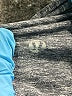Lululemon Athletica Gray Pullover Sweater Size 8 - photo 7