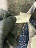 Gap 100% Cotton Polka Dots Blue Shorts Size 10 - photo 4