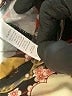 Lularoe Print Black Active Pants Size 1X (Tall & Curvy) - photo 8