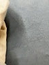Zara Ivory Jeans Size 12 - photo 5