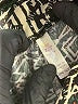 Lularoe Graphic Gold Leggings One size - photo 7