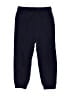 The Children's Place Solid Blue Casual Pants Size 4T - photo 1