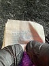 Tultex Purple Pullover Sweater Size M - photo 8