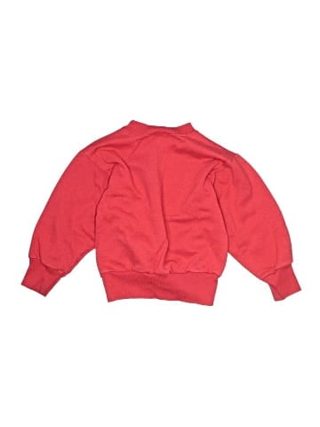 Hanes Sweatshirt (view 2)