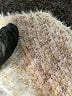 Unbranded 100% Polyester Tweed Ivory Pullover Sweater Size XL - photo 7