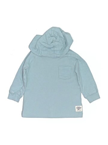 OshKosh B'gosh Pullover Hoodie (view 1)