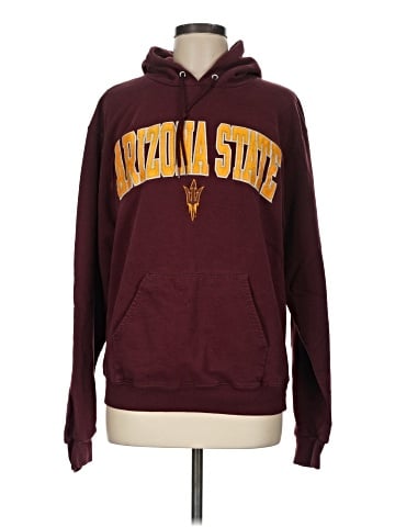 Champion Pullover Hoodie (view 1)