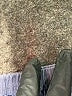Athleta 100% Linen Stripes Gray Shorts Size 10 - photo 5