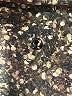 Lululemon Athletica Animal Print Gold Active Pants Size 25 waist (estimated) - photo 7