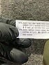 Zara Solid Green Active Pants Size 11 - 12 - photo 5