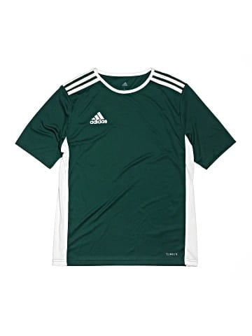 Adidas Active T-Shirt (view 1)