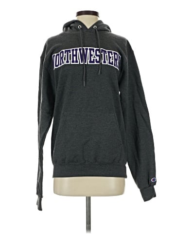 Champion Sweatshirt (view 1)