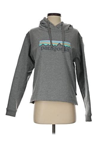 Patagonia Pullover Hoodie (view 1)