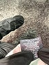Massini Solid Gray Active Pants Size XL - photo 8