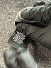 Mossimo Gray Active Pants Size XL - photo 5