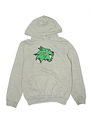 Champion Pullover Hoodie (view 1)