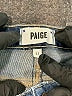 Paige Blue Jeans Size 27 waist - photo 7