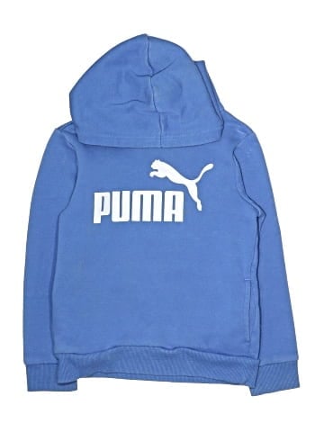 Puma Pullover Hoodie (view 1)