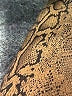 Blank NYC Animal Print Snake Print Brown Coat Size S - photo 7