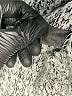 Lane Bryant Gray Kimono Size 14 - photo 8