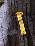 Free People 100% Cotton Blue Shorts Size S - photo 3