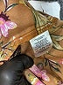 Ann Taylor LOFT 100% Polyester Brown Long Sleeve Blouse Size XXL - photo 8