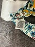 Belle + Sky 100% Polyester Teal Long Sleeve Blouse Size XXL - photo 8