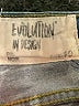 Evolution in Design Orange Denim Shorts Size 10 - photo 3