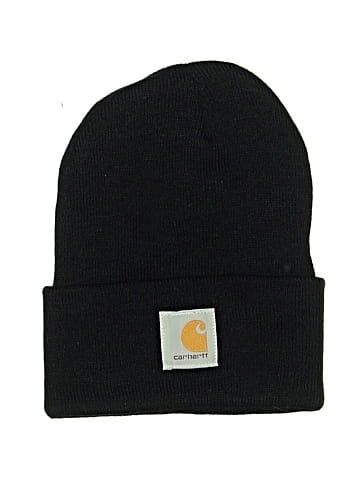 Carhartt Beanie (view 1)