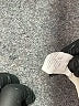 NY Collection Black Short Sleeve Top Size XL - photo 8